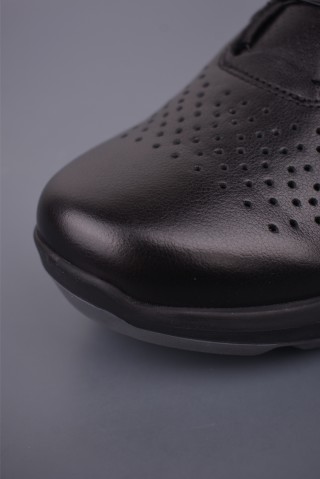 ECCO Biom view 6