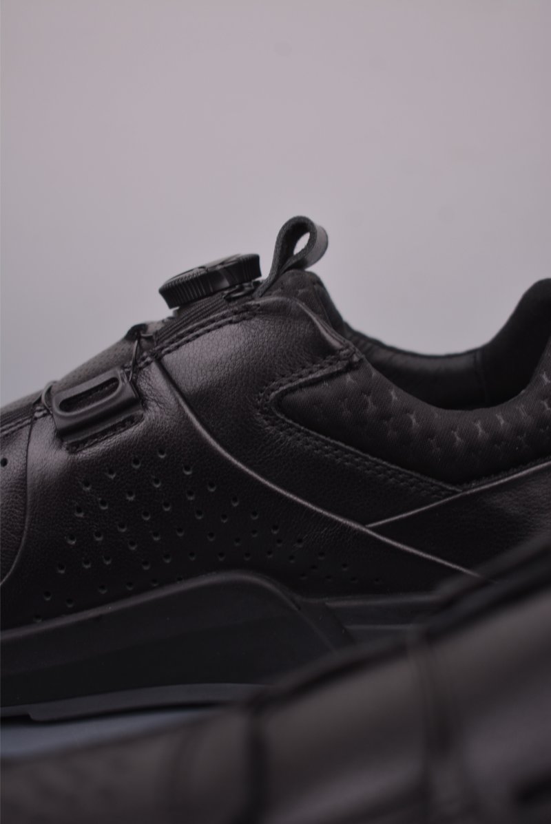 ECCO Biom view