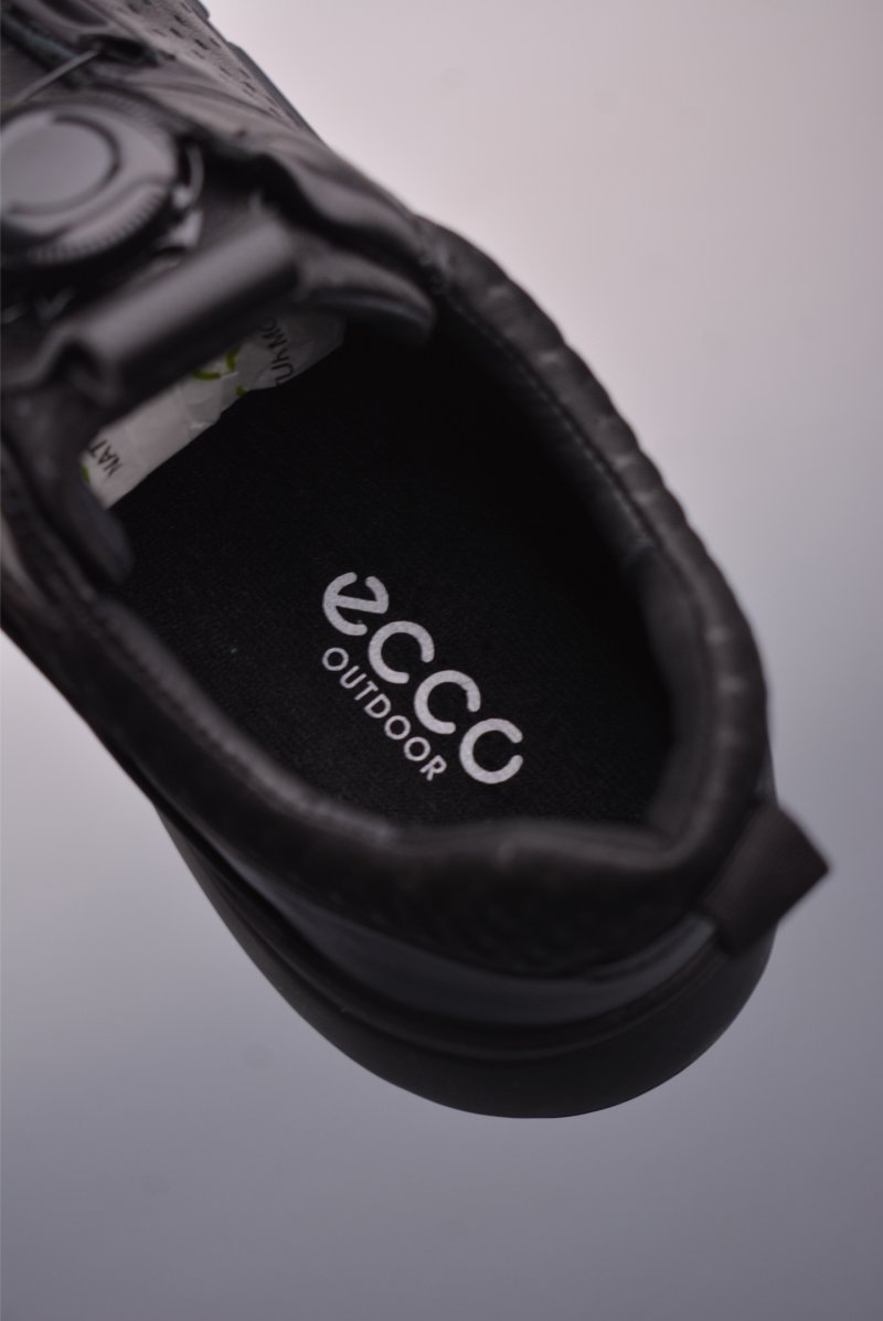 ECCO Biom view