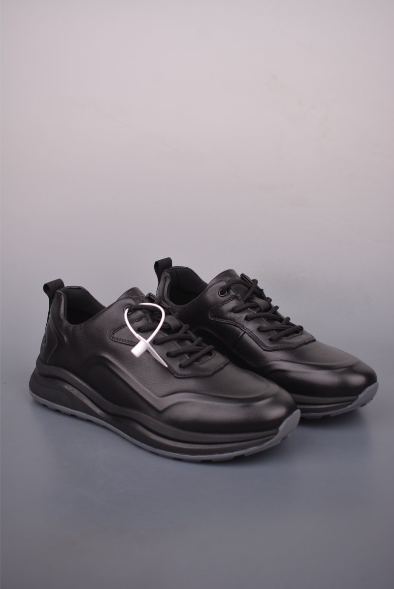 ECCO Biom