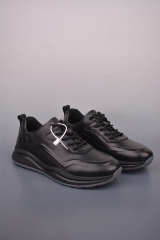 ECCO Biom view 1