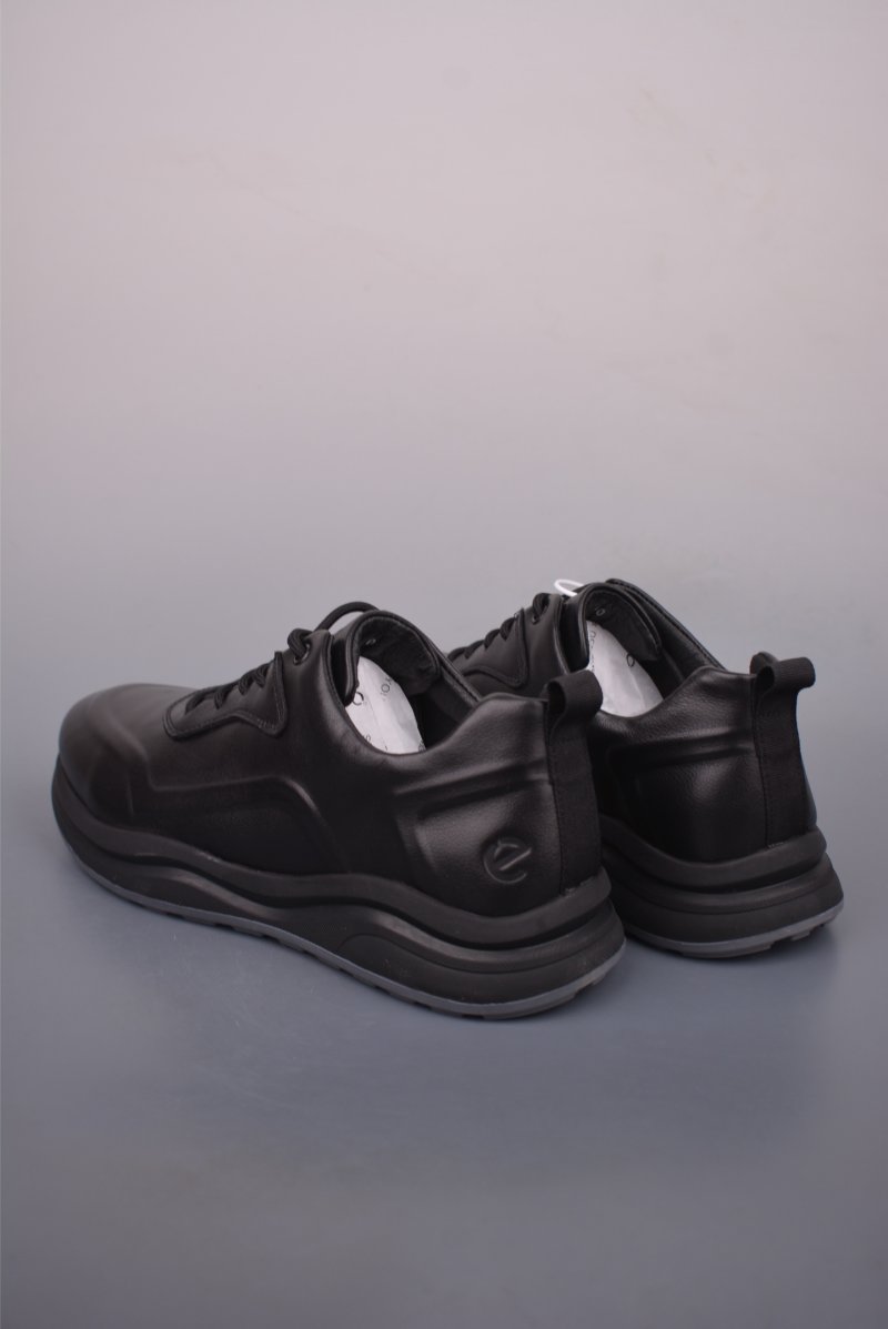 ECCO Biom view