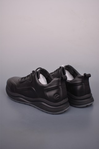 ECCO Biom view 2