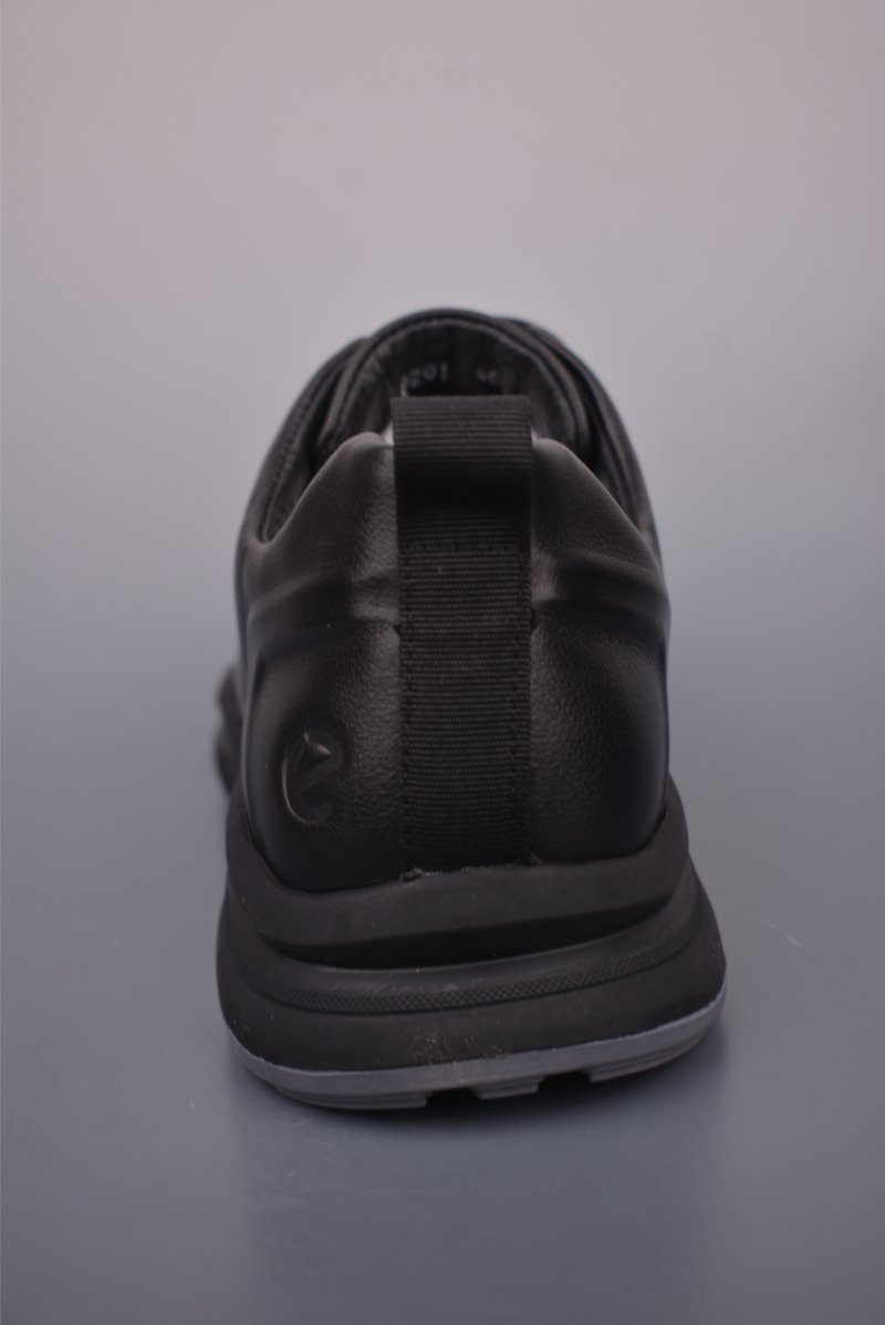 ECCO Biom view