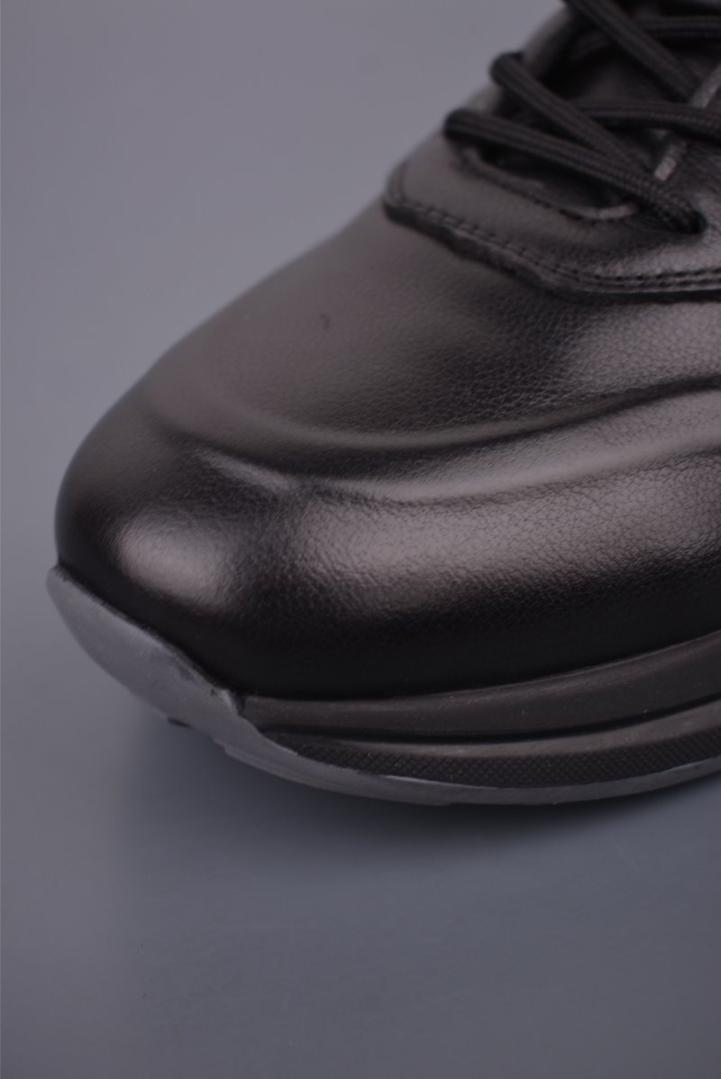 ECCO Biom view