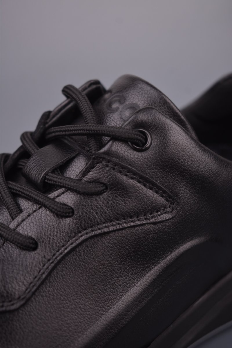ECCO Biom view