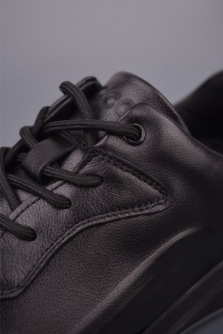 ECCO Biom view 7
