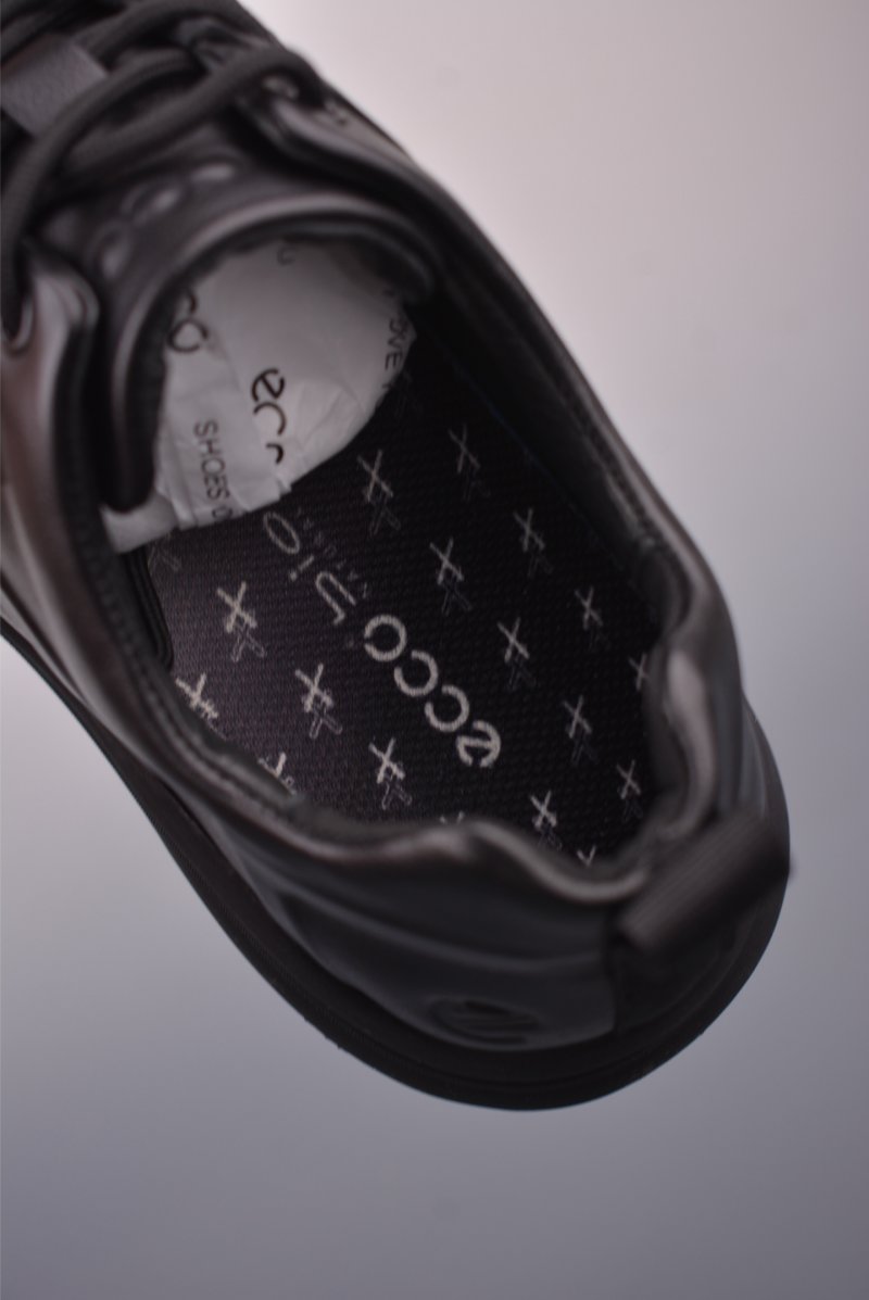 ECCO Biom view