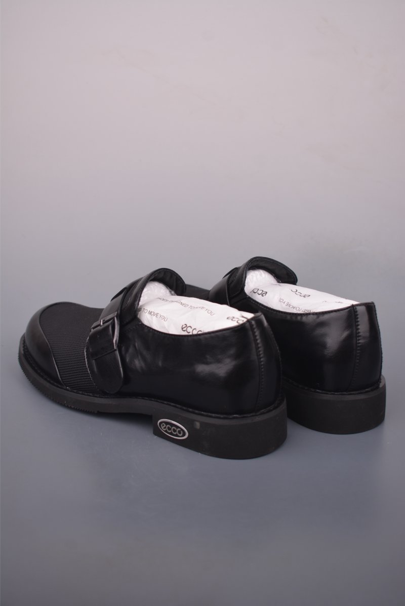 ECCO Biom view