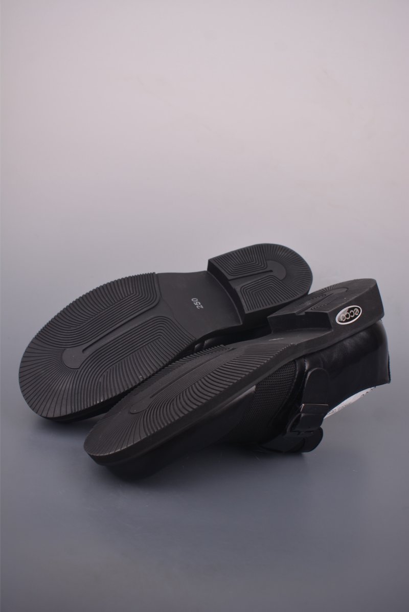 ECCO Biom view