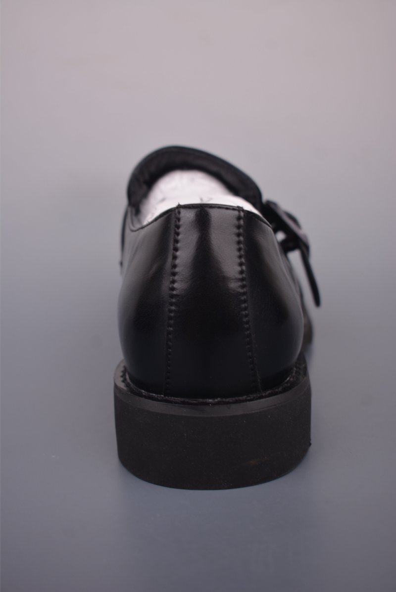ECCO Biom view