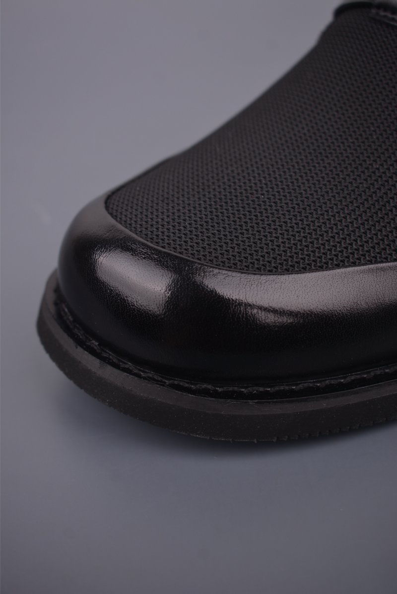 ECCO Biom view