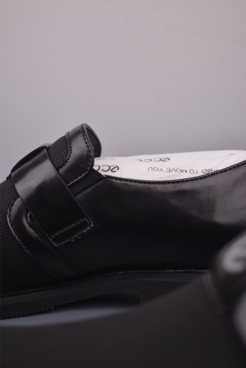 ECCO Biom view
