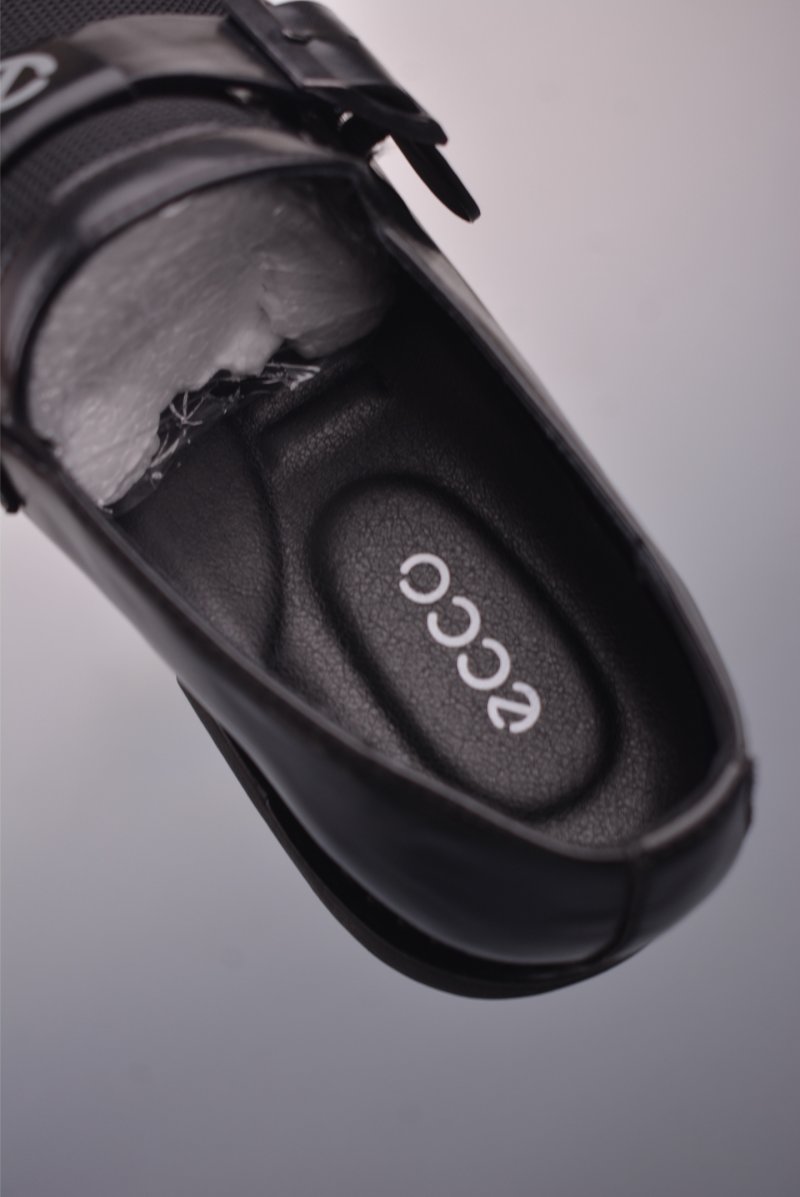 ECCO Biom view
