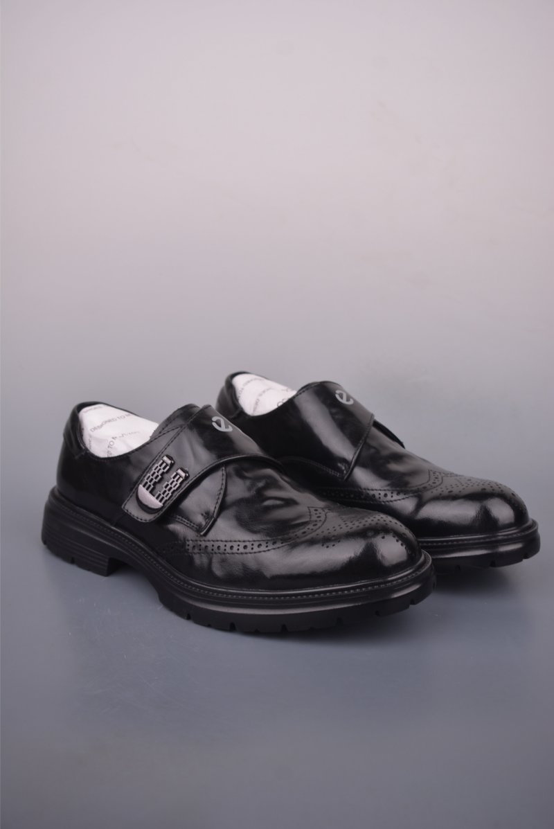 ECCO Biom view