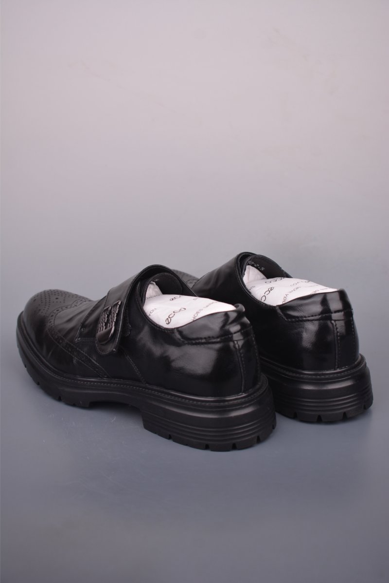 ECCO Biom view