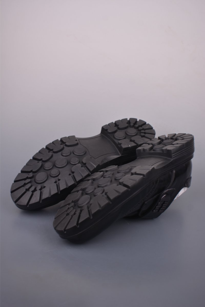 ECCO Biom view