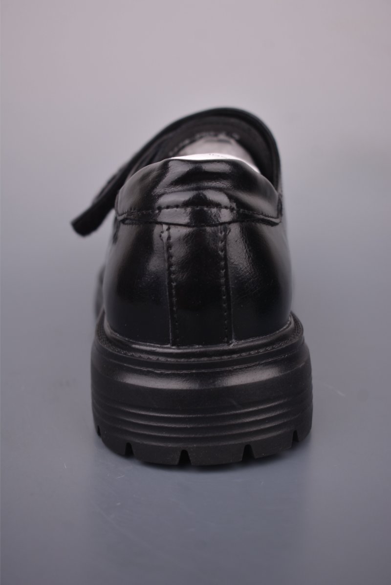 ECCO Biom view