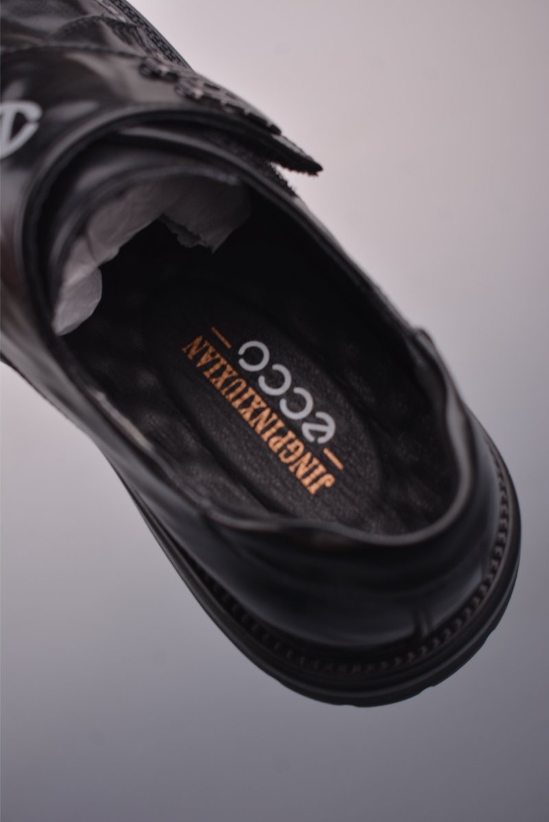 ECCO Biom view