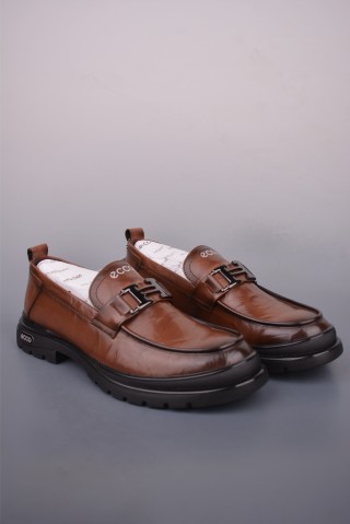 ECCO Biom view 1