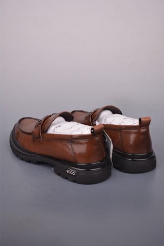 ECCO Biom view 2