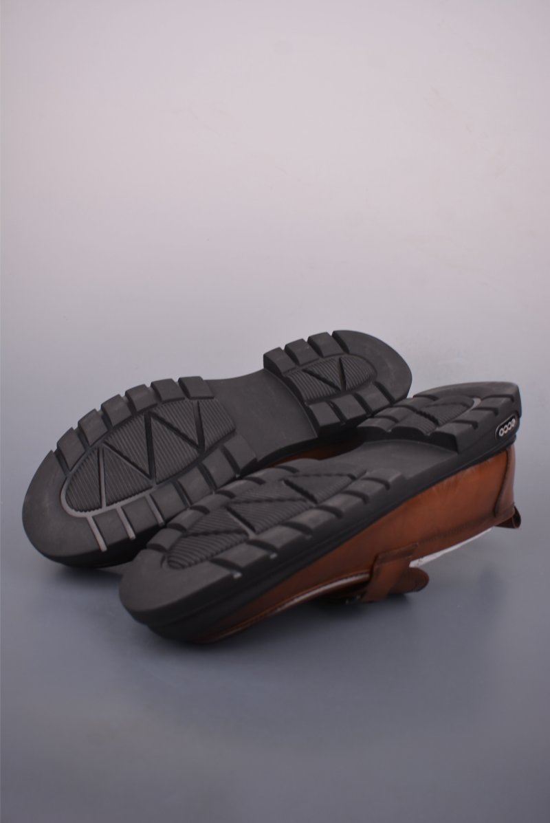 ECCO Biom view
