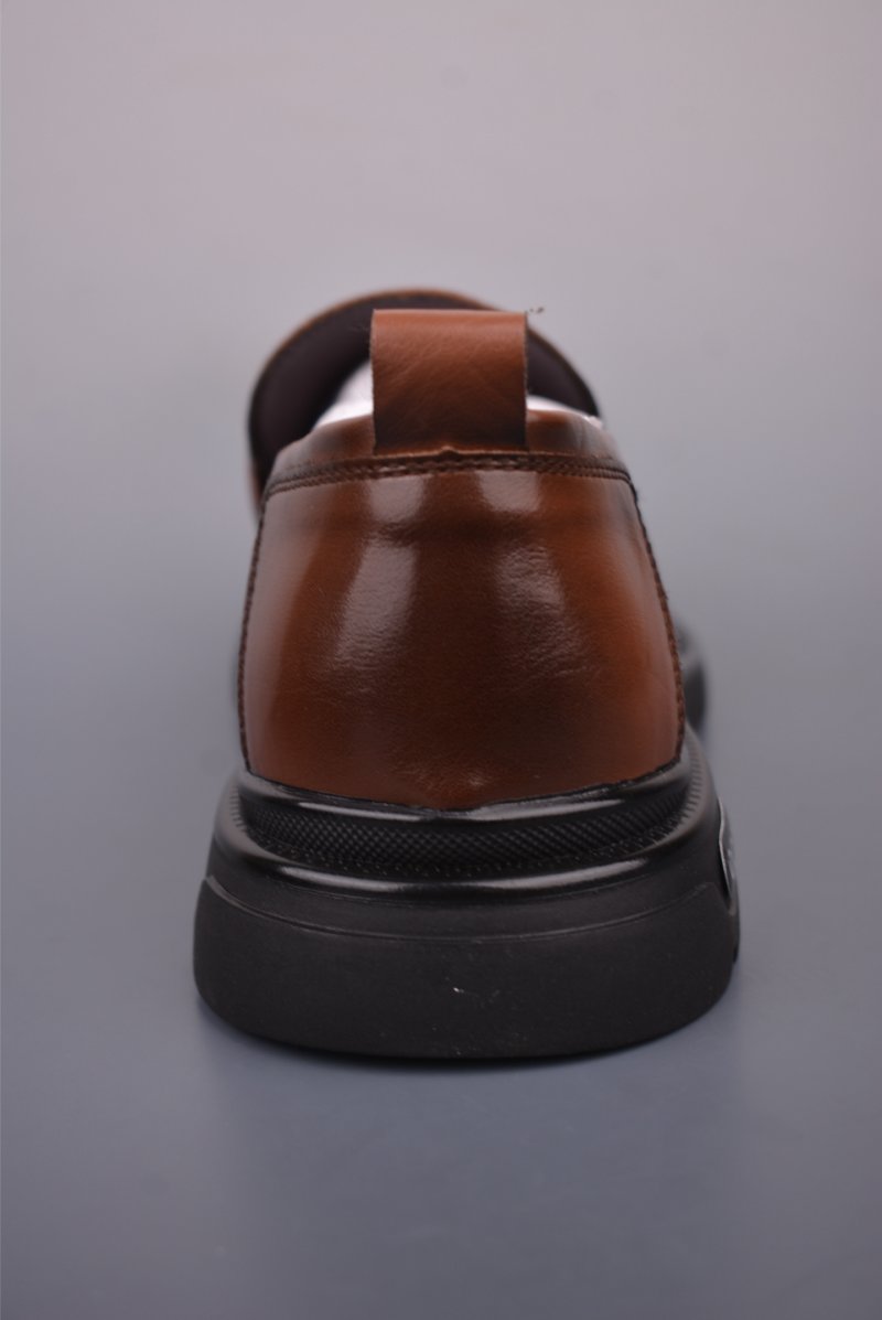 ECCO Biom view