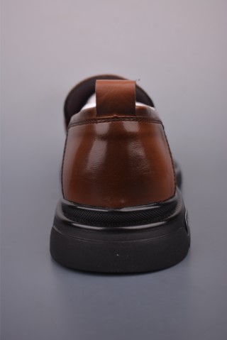 ECCO Biom view 4