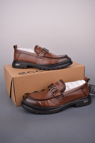 ECCO Biom view 5
