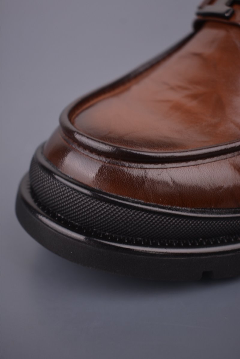 ECCO Biom view