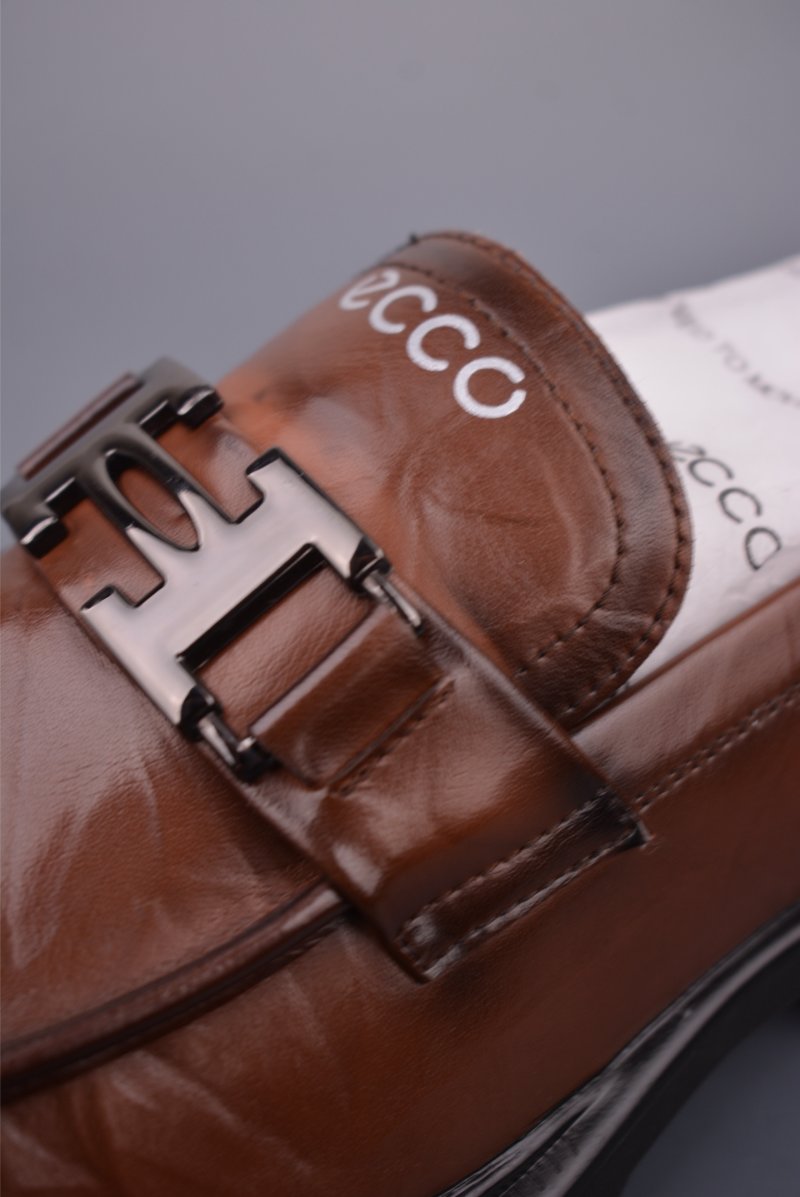 ECCO Biom view