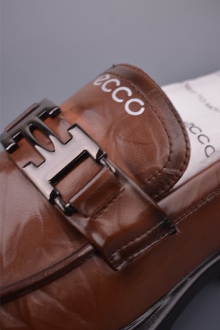 ECCO Biom view 7