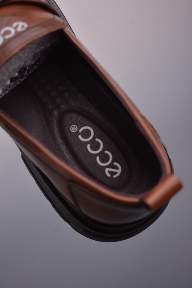 ECCO Biom view