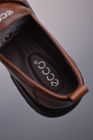 ECCO Biom view 9