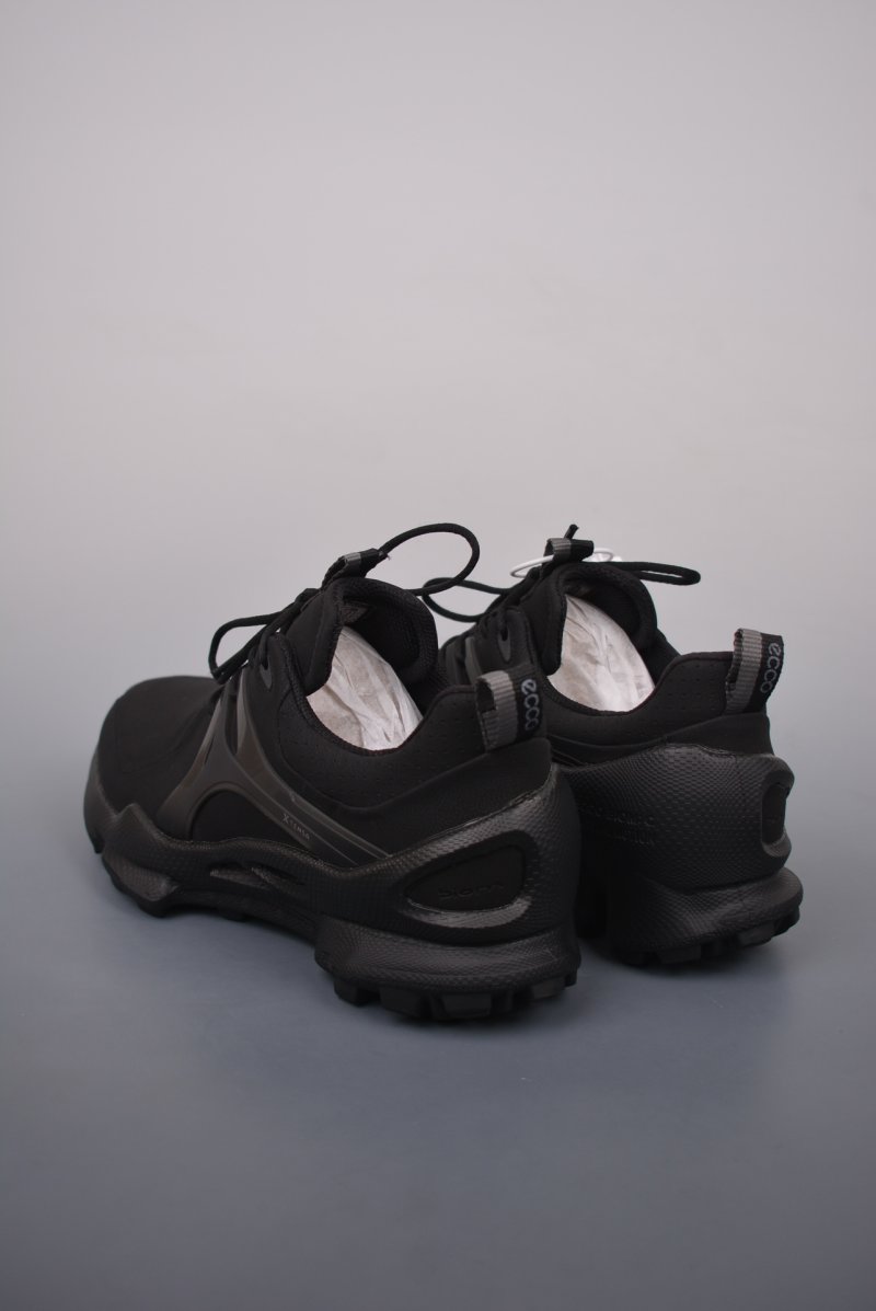 ECCO Biom C view