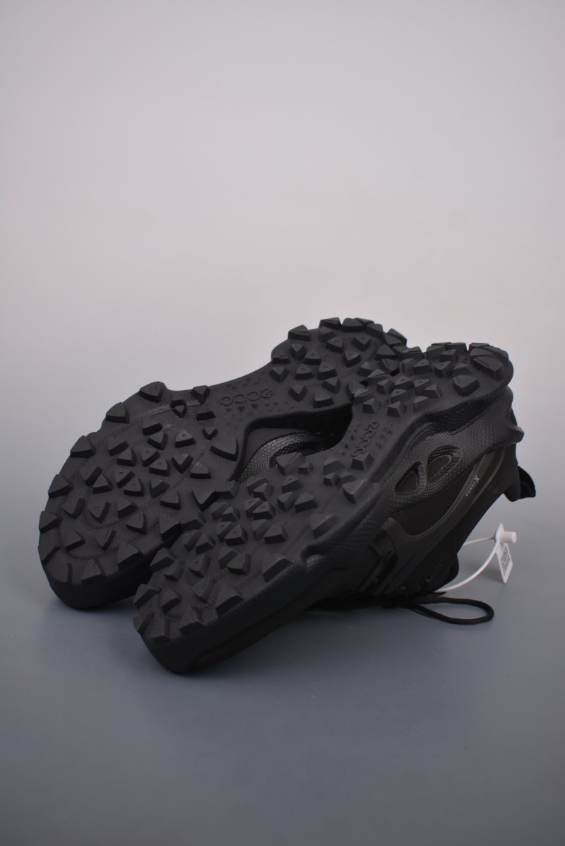 ECCO Biom C view