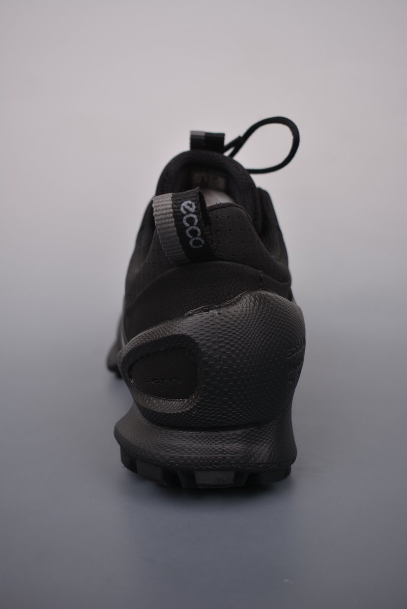 ECCO Biom C view