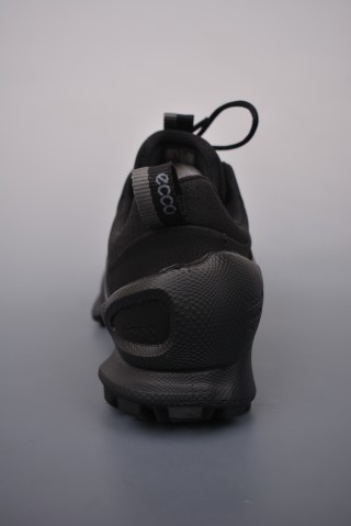 ECCO Biom C view 4