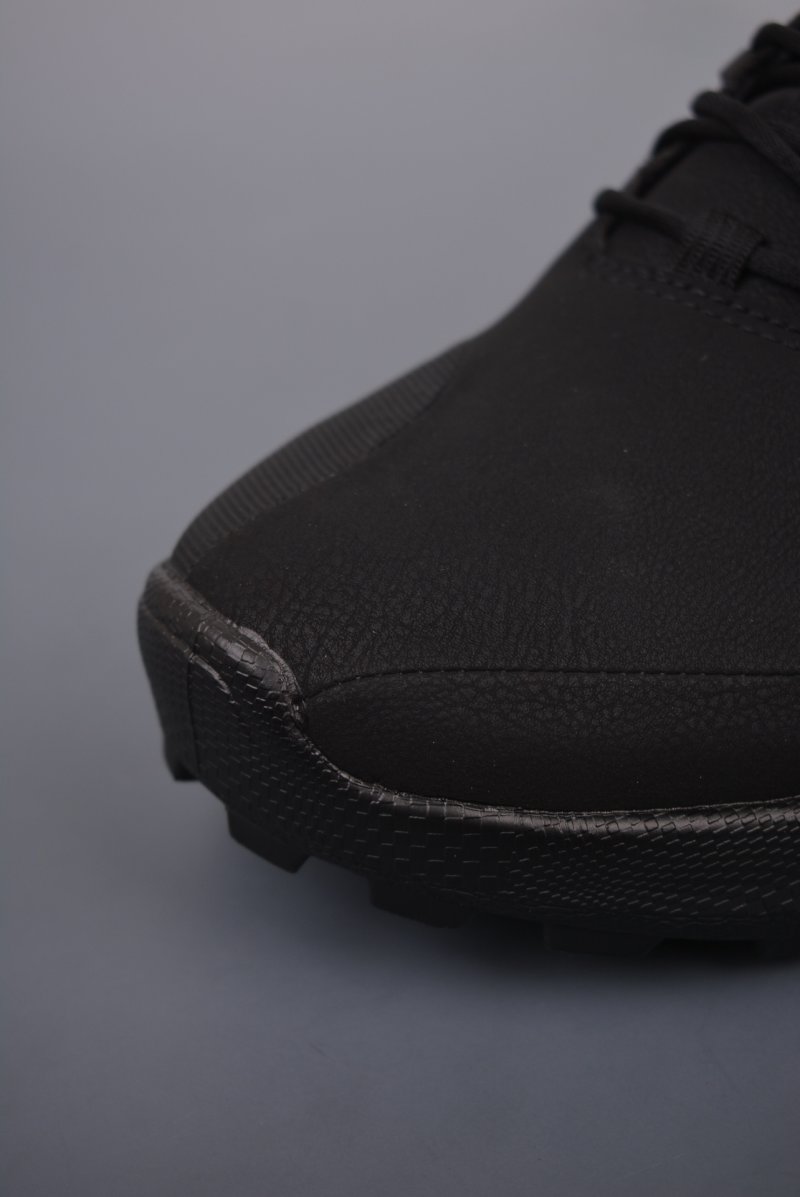 ECCO Biom C view