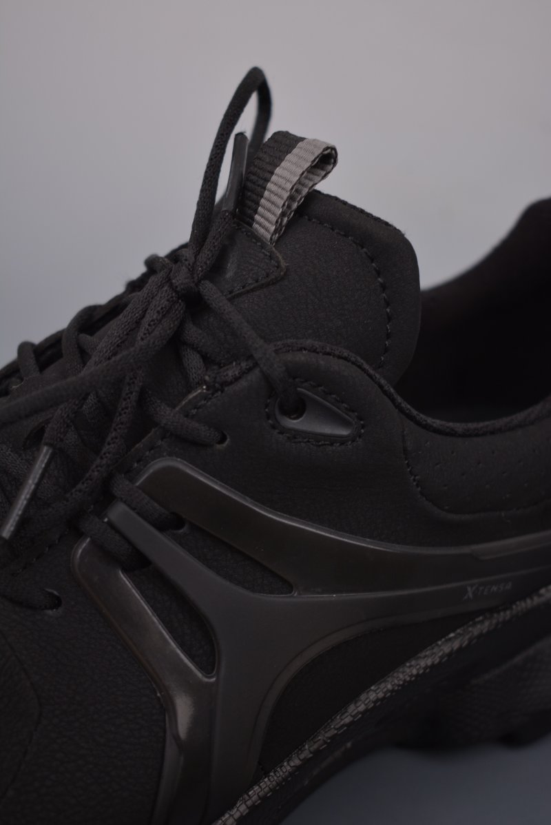 ECCO Biom C view