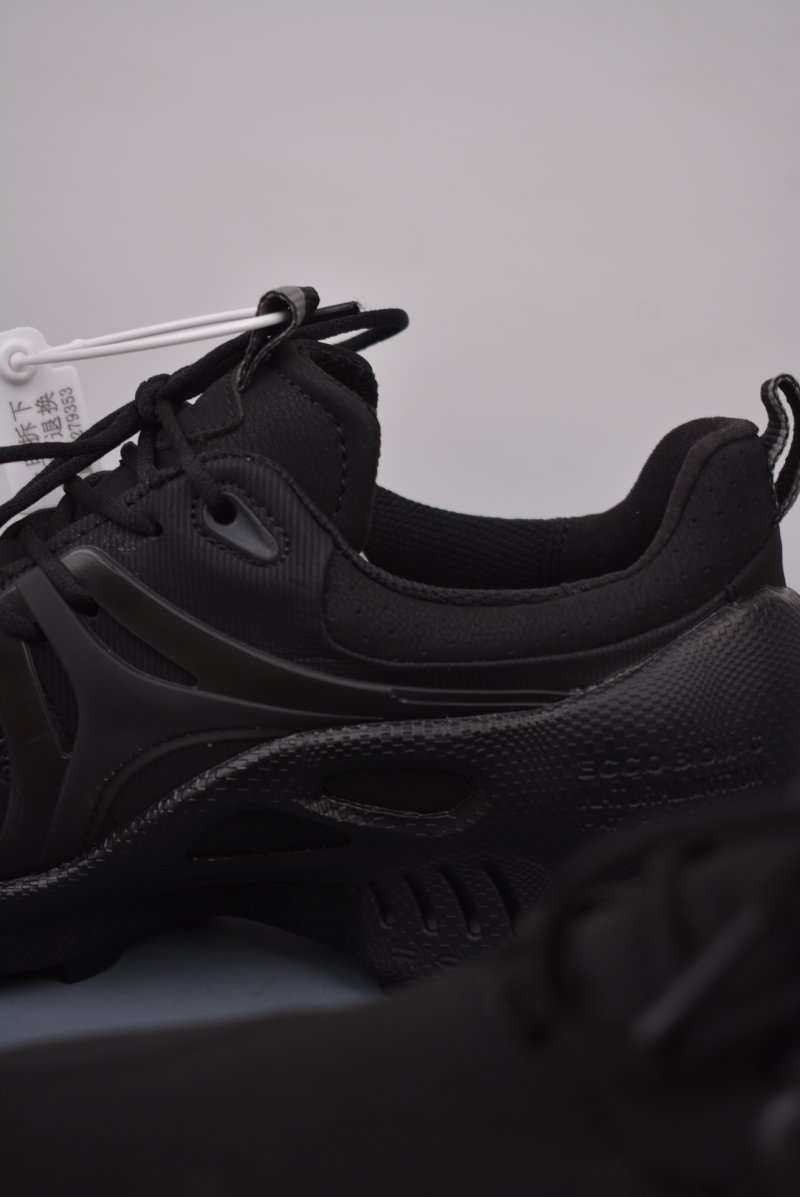 ECCO Biom C view