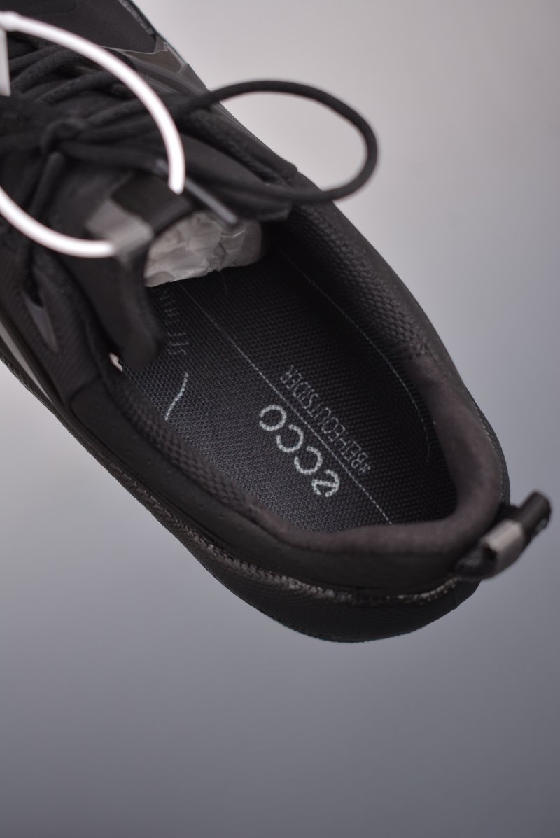 ECCO Biom C view