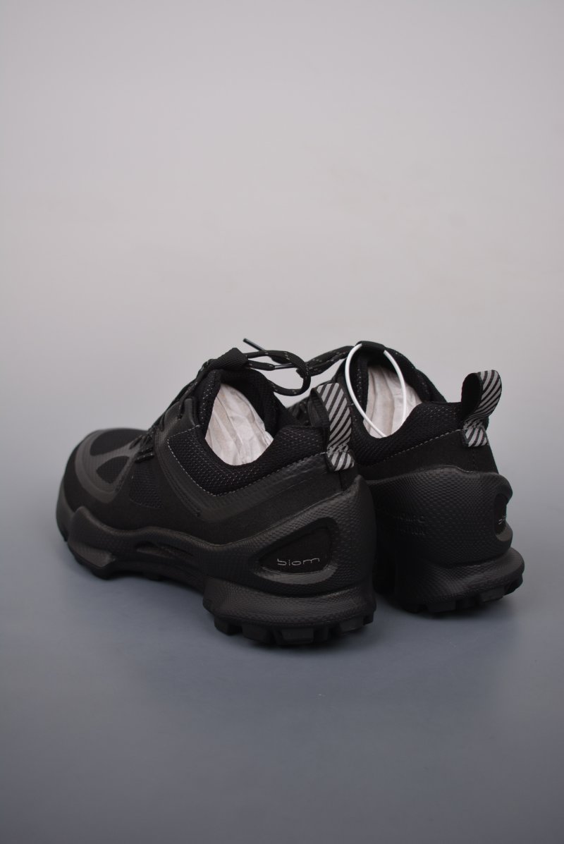 ECCO Biom C view