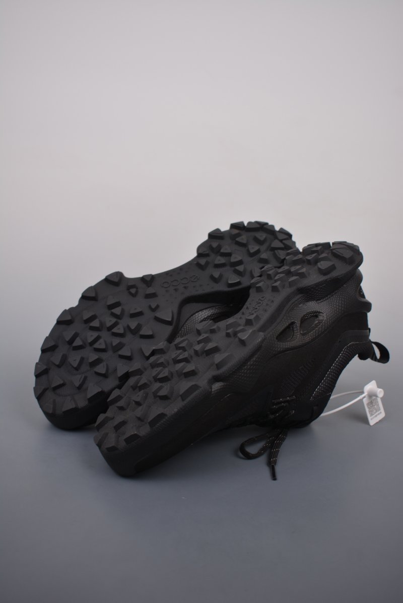 ECCO Biom C view