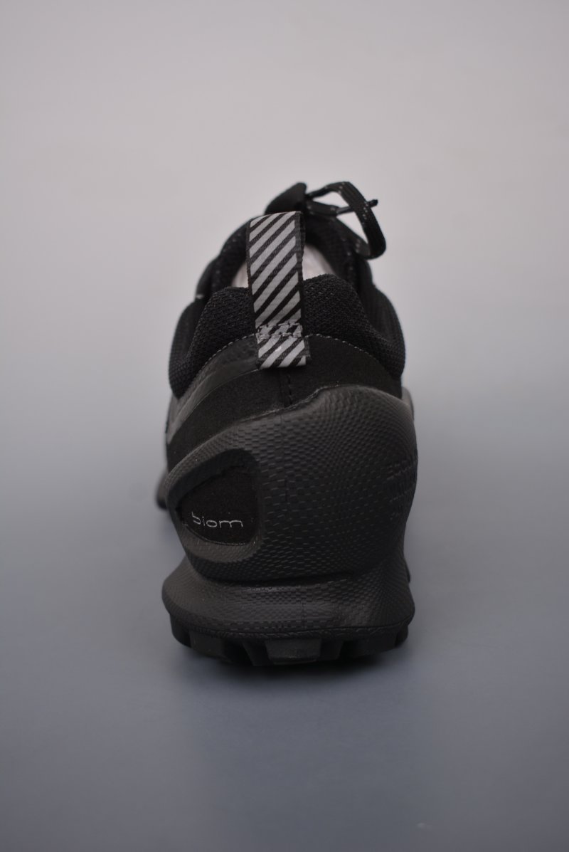 ECCO Biom C view