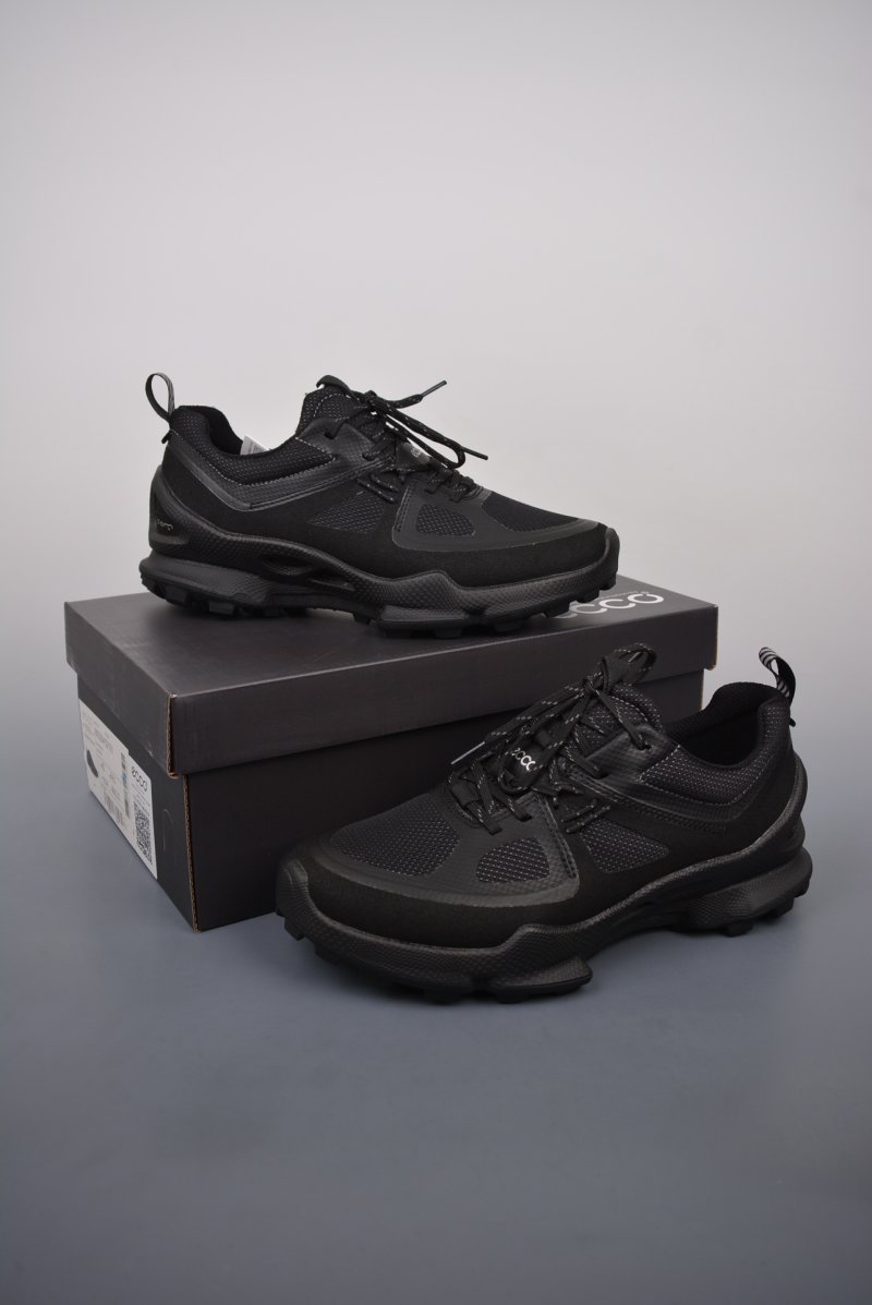 ECCO Biom C view