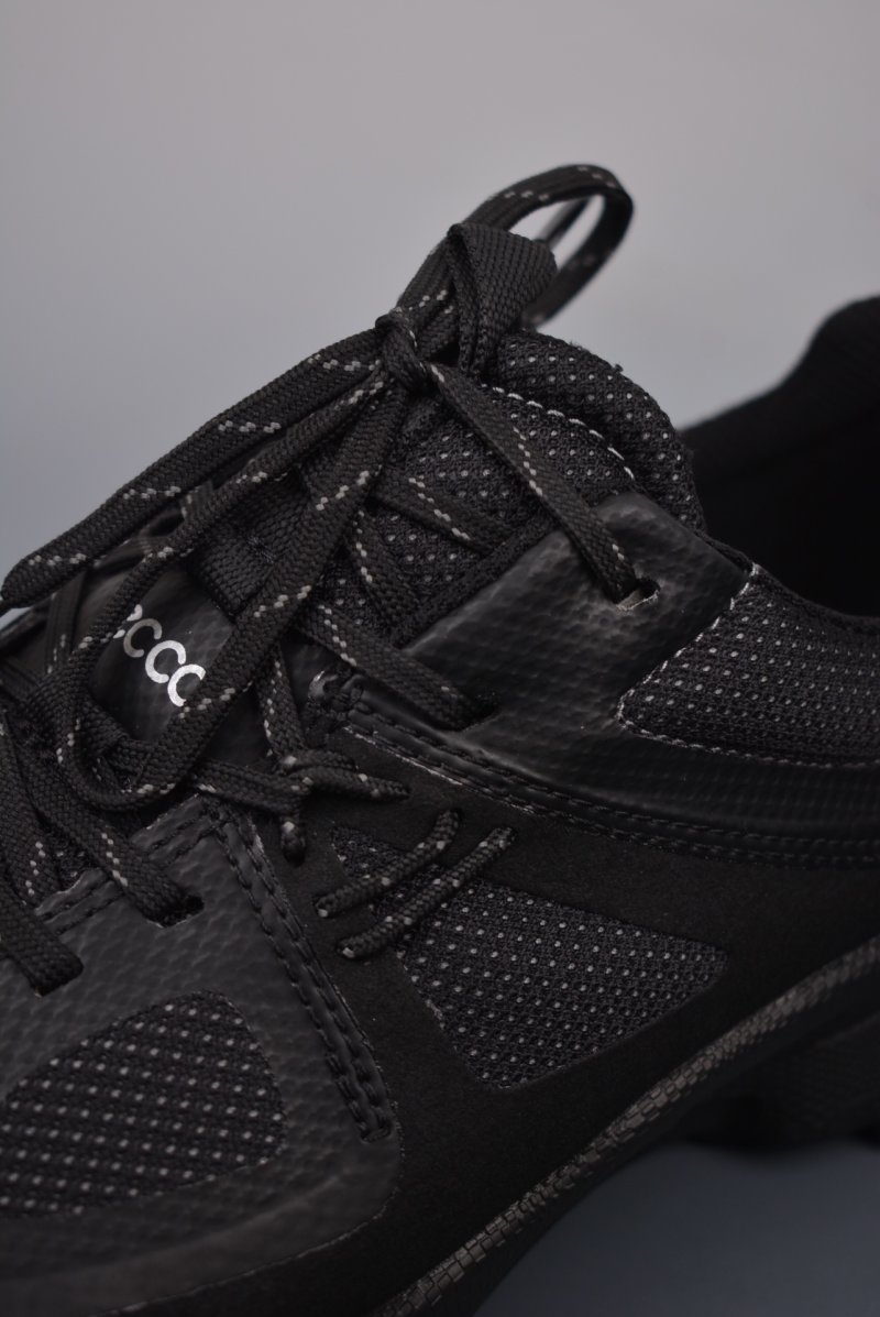 ECCO Biom C view