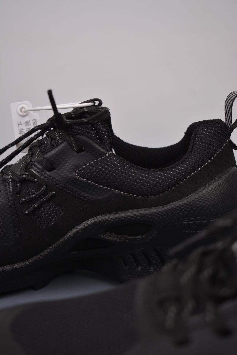ECCO Biom C view