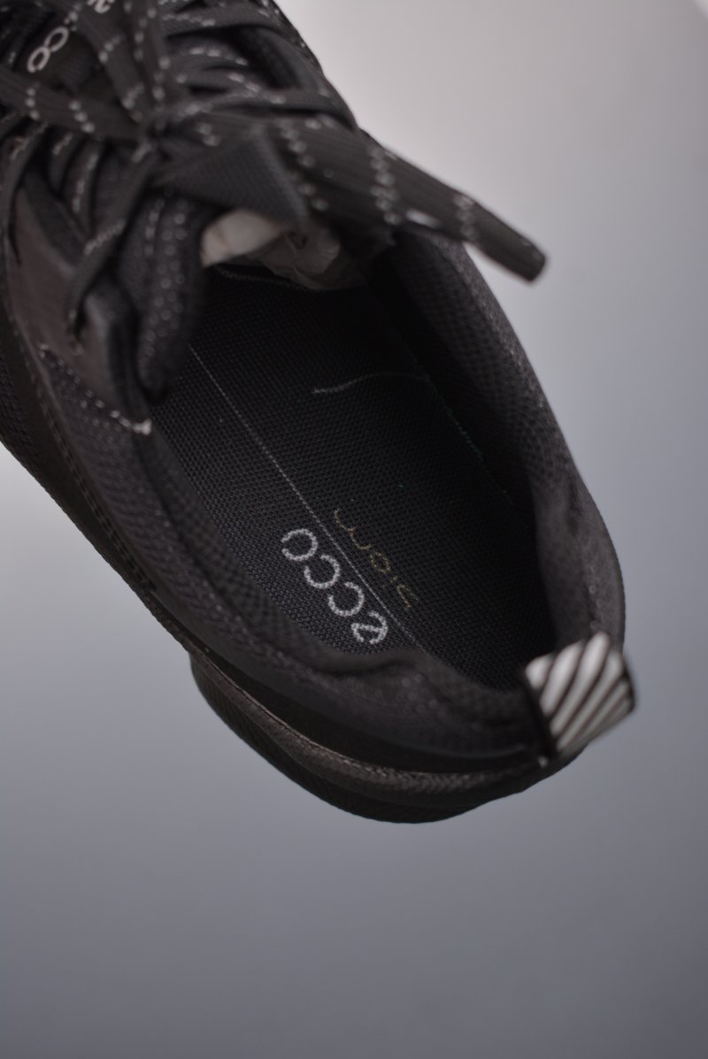 ECCO Biom C view