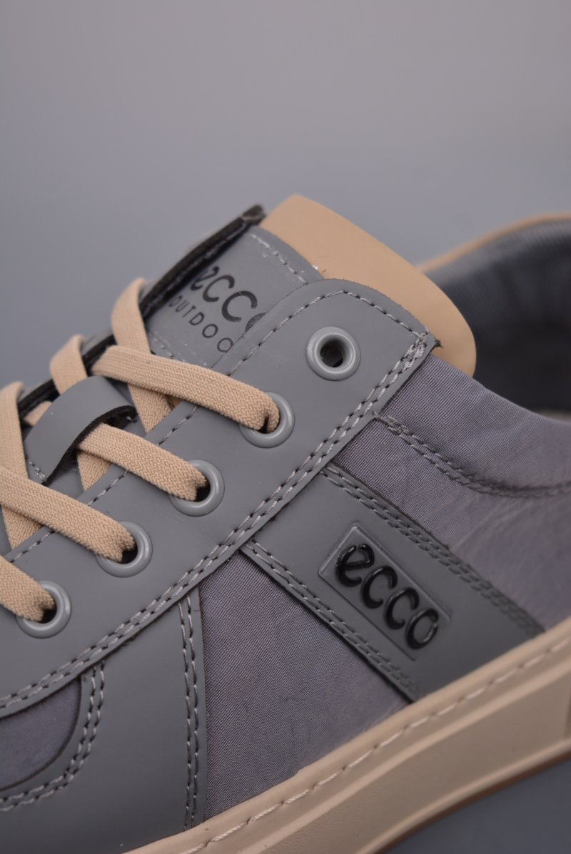 ECCO Biom C view